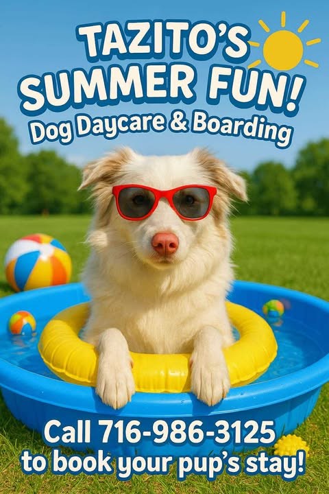 Summer’s Fun Starts at Tazito’s