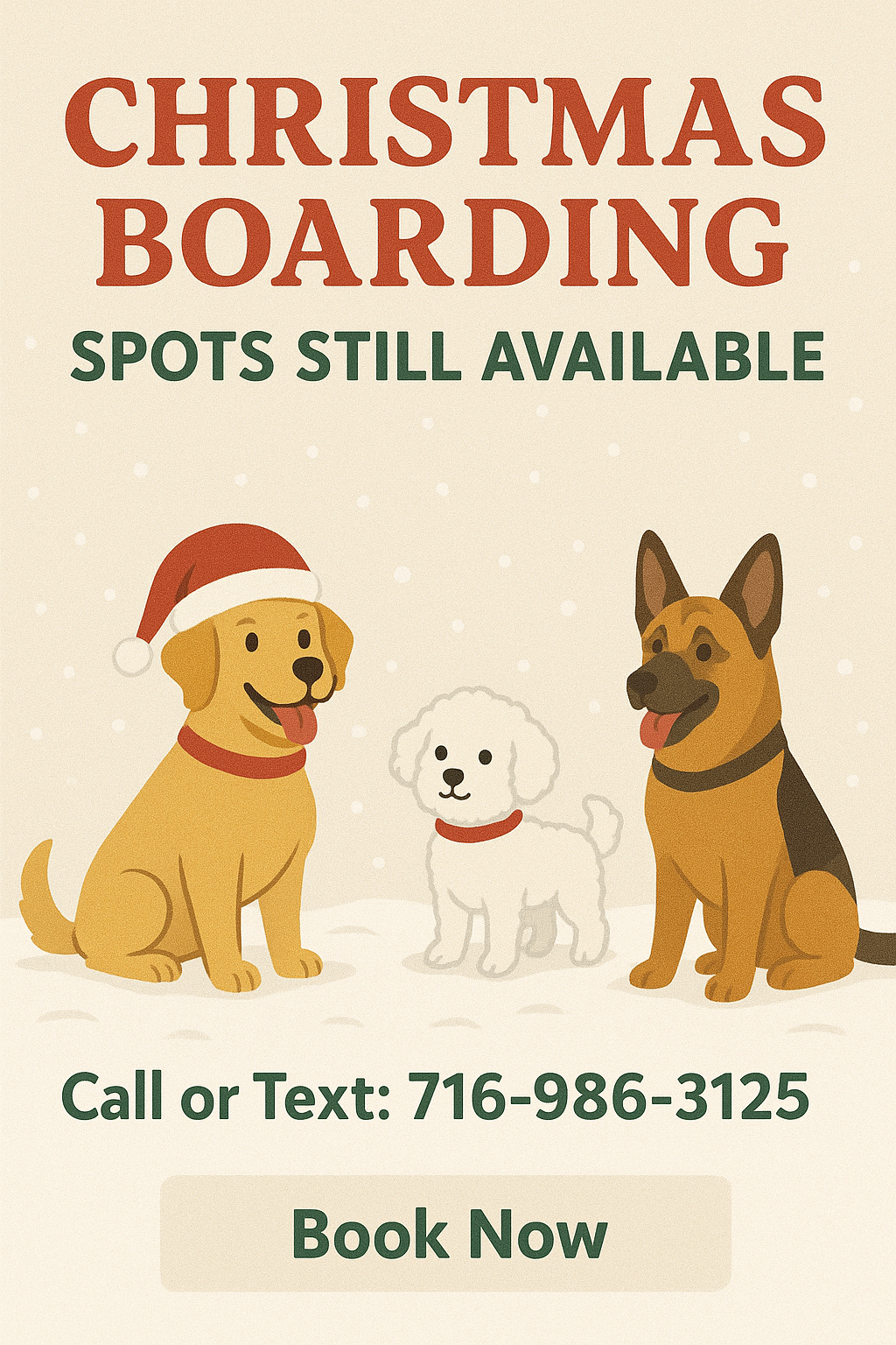 Christmas and New Years still available